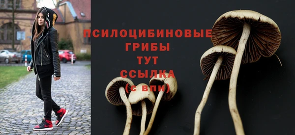 не бодяженный Армянск