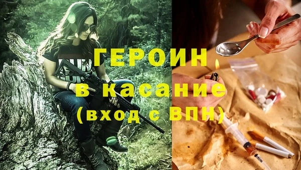 ГАЛЛЮЦИНОГЕННЫЕ ГРИБЫ Гусев