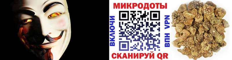 кракен маркетплейс  Усть-Джегута  Галлюциногенные грибы Cubensis  магазин продажи  